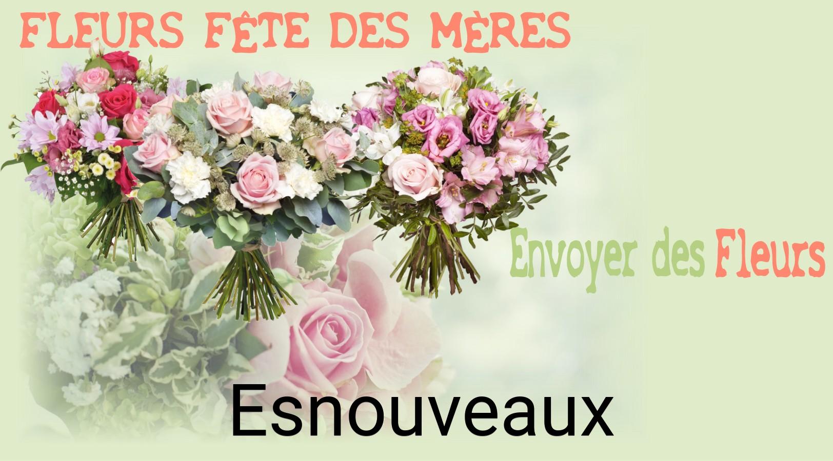 Bouquet de Fête des Mères livré à Esnouveaux